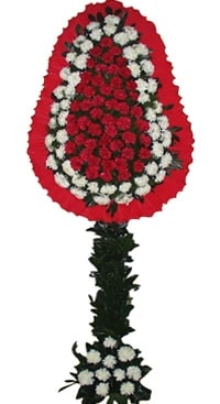 Ucuz D���n Nikah A��l�� �i�e�i Tek Katl� Ankara �i�ek�iler